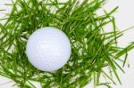 White Golf Ball On Fresh Grass Stock Photo