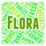 Flora Word Meaning Plant Life And Verdure Stock Photo
