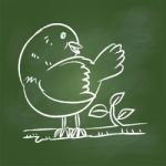 Hand Drawing Bird  On Green Board - Illustration Stock Photo