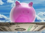 Flying Dollar Pig Shows High Flying Success Stock Photo