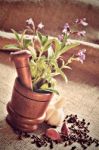 Sage In Wooden Mortar, Garlic, Pepper And Cloves On Sackcloth Stock Photo