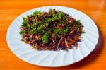 Fried Insects, Exotic Asian Food On White Dish Stock Photo