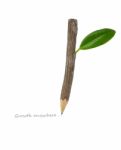 Wood Pencil With Green Leaf Stock Photo