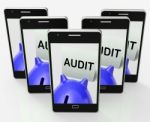 Audit Piggy Bank Shows Inspect Analyze And Verify Stock Photo
