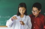 Two Asian Elementary Pupils Students Learning About Basic Science Education Stock Photo