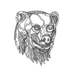 Brown Bear Head Doodle Stock Photo