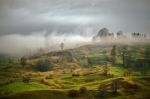 Foggy Spring Morning In Mountain Village. Fields And Hills Stock Photo