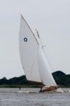 Hickling Broad, Norfolk/uk - August 5 : Sailing On Hickling Broa Stock Photo