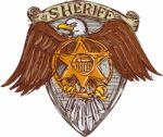 Sheriff Badge American Eagle Shield Drawing Stock Photo