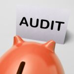 Audit Piggy Bank Shows Inspect Analyze And Verify Stock Photo