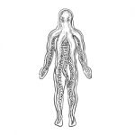 Alien Octopus Inside Human Body Drawing Black And White Stock Photo