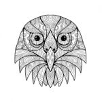 Australian Barking Owl Mandala Stock Photo