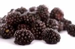 Blackberries On White Stock Photo