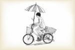 A Girl Riding Bicycle To Market And Adapting Umbrella On Bicycl Stock Photo