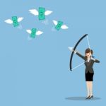 Business Woman With A Bow And Arrow Hitting The Money Fly Stock Photo