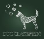 Dog Classifieds Indicates Advertisement Doggy And Purebred Stock Photo