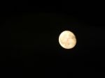 Full Moon At Night In The City Shining Bright  Stock Photo