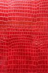 Red Crocodile Leather Texture Stock Photo