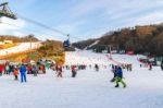 Vivaldi Park Ski Resort  In Korea Stock Photo
