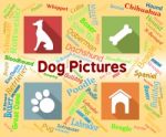 Dog Pictures Means Pets Pups And Words Stock Photo