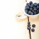 Fresh Blueberry Bowl Stock Photo