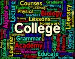 College Word Shows University Words And Universities Stock Photo