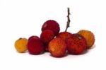 Strawberry Tree (arbutus Unedo) Fruit Stock Photo