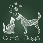 Cats Dogs Love Shows Compassion Puppy And Kitty Stock Photo