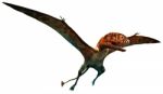 Dimorphodon Stock Photo