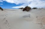 Sandfly Bay Sand Dune Stock Photo