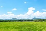 Trees And Mountains On A Bright Sky Stock Photo