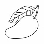 Line Drawing Of Mango -simple Line Stock Photo