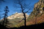 Autumn Landscape In Ordesa National Park, Pyrenees, Huesca, Arag Stock Photo