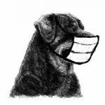 Illustration Of Rottweiler Dog With Mask Stock Photo