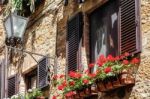 Geraniums On Display In Pienza Tuscany Stock Photo