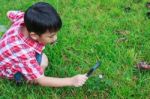 Young Boy Exploring Nature With Magnifying Glass. Outdoors In Th Stock Photo