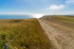 Beachey Head, Sussex/uk - July 23 : Where The South Downs Mee Th Stock Photo