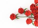 Roses Love Indicates Petal Petals And Adoration Stock Photo