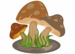 Mushrooms Cartoon Stock Photo