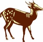 Philippine Spotted Deer Woodcut Stock Photo
