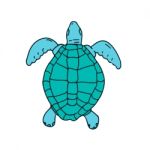Sea Turtle Swimming Drawing Stock Photo
