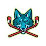 Coyote Ice Hockey Sports Mascot Stock Photo
