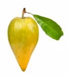 Pouteria Campechiana Isolated On The White Background Stock Photo