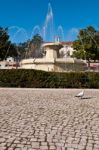 Municipal Square Fountain Stock Photo