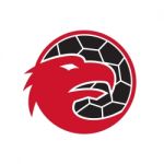 European Eagle Handball Mascot Stock Photo