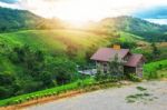 Home Foothill With Beautiful Green Nature Stock Photo