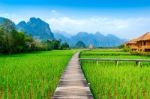 Wooden Path And Green Rice Field In Vang Vieng, Laos Stock Photo