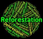 Reforestation Word Shows Again Woodlands And Words Stock Photo