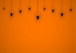 Halloween Spider Hanging Web Background Stock Photo