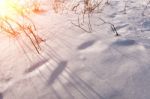 Solar Flare On Snowy Slopes In Winter Stock Photo
